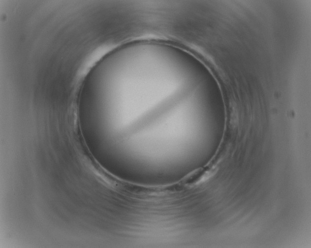 X0000076221367200610122039