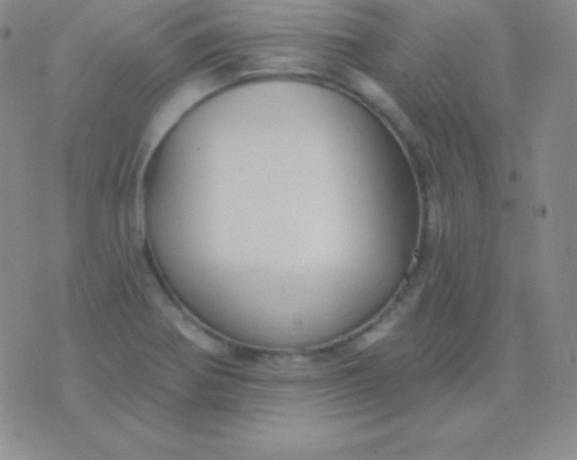 X0000076221370200610122039