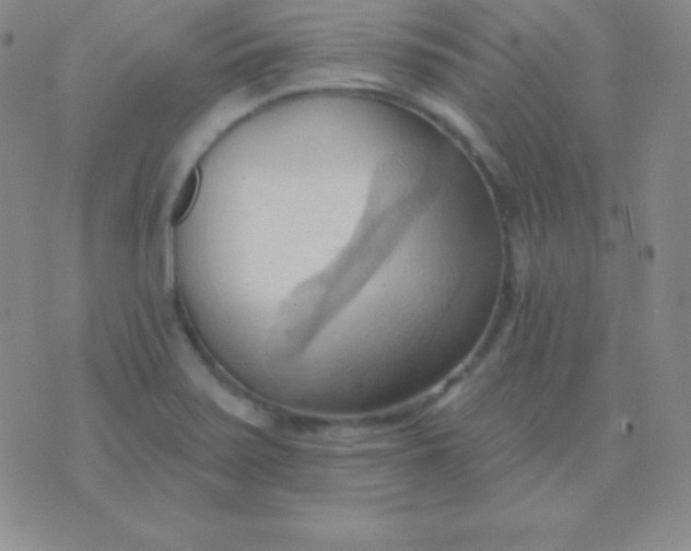 X0000076221371200610122039