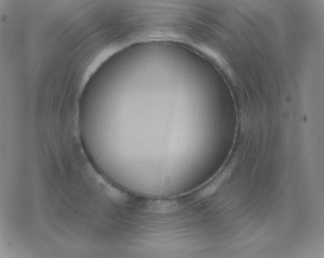 X0000076221374200610122039