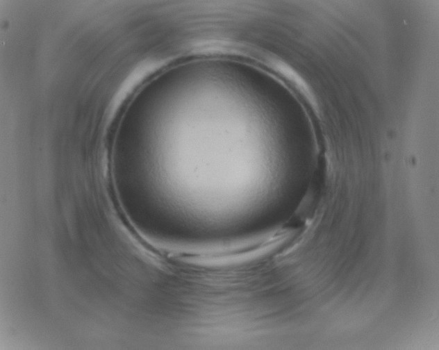 X0000076221376200610122039