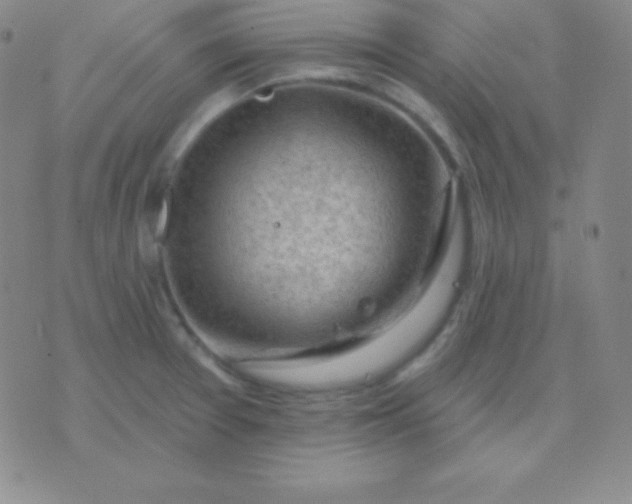 X0000076221377200610122039