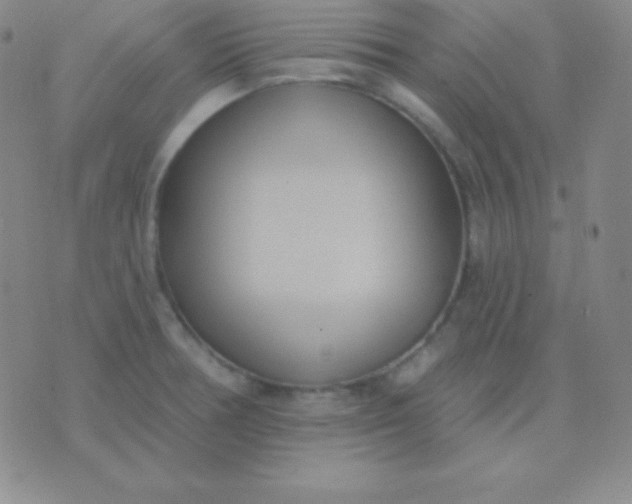 X0000076221378200610122039