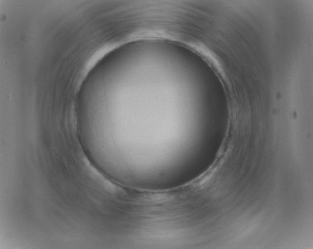 X0000076221382200610122039