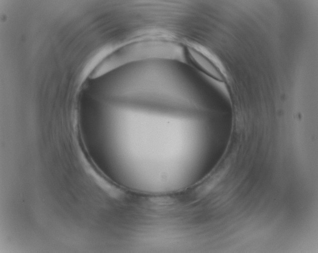 X0000076221383200610122039