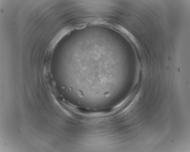 X0000076221385200610122039