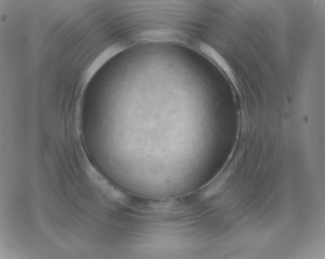 X0000076221386200610122039