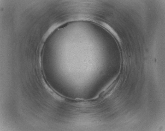 X0000076221388200610122039