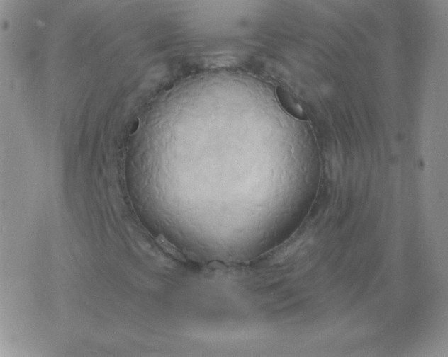 X0000076221393200610122038