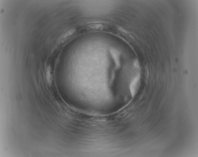 X0000076221394200610122038