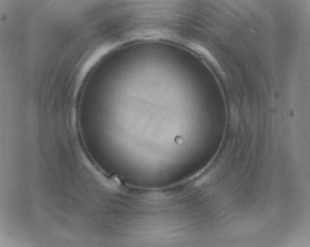 X0000076221424200610122039