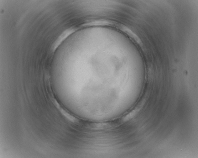 X0000076221425200610122039