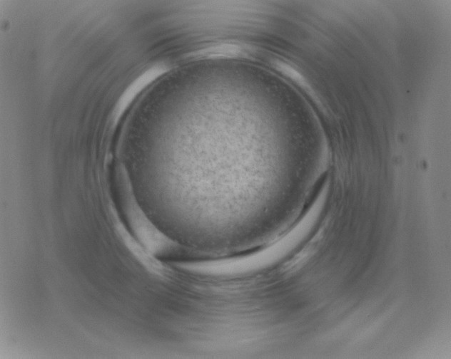 X0000076221426200610122039