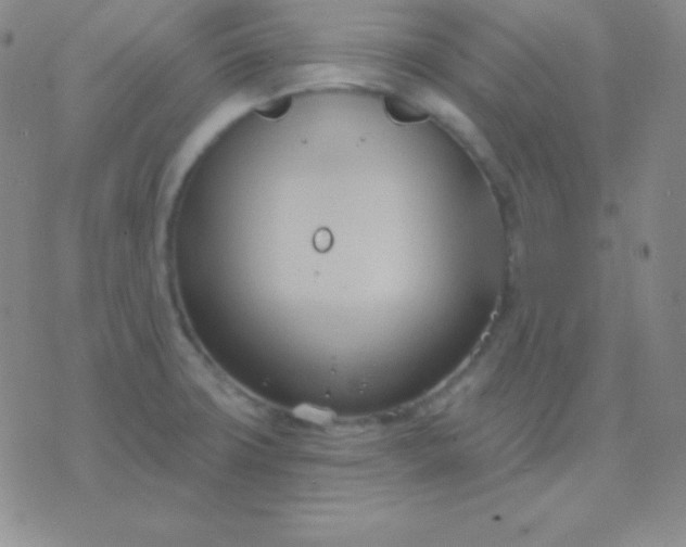 X0000076221427200610122039