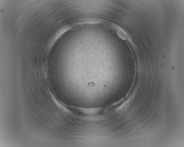 X0000076221433200610122039