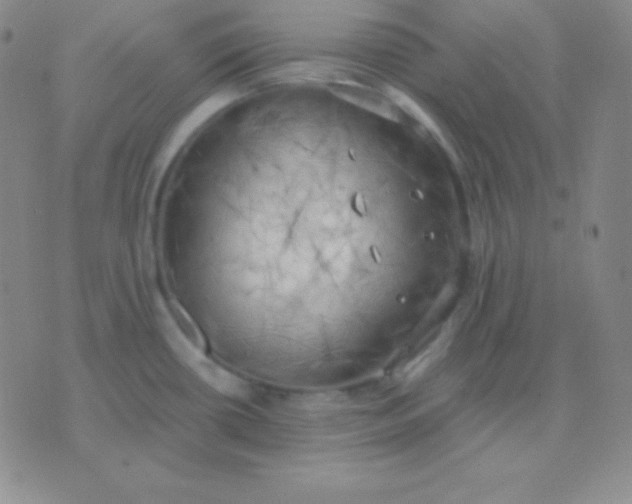 X0000076221434200610122039