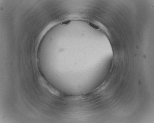 X0000076221435200610122039