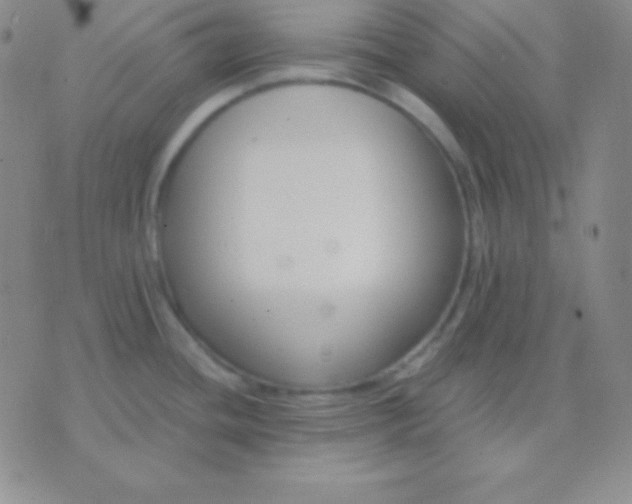 X0000076221436200610122039