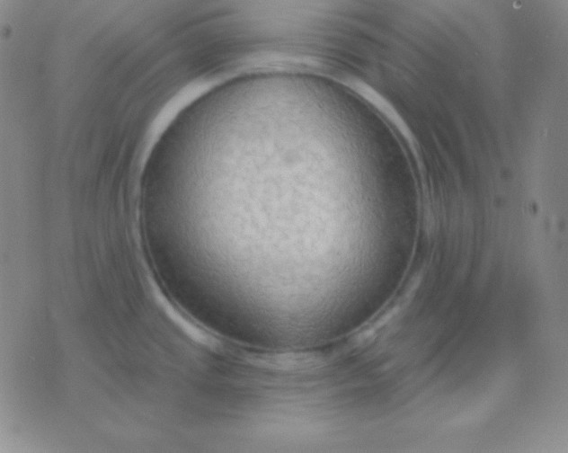 X0000076221437200610122039