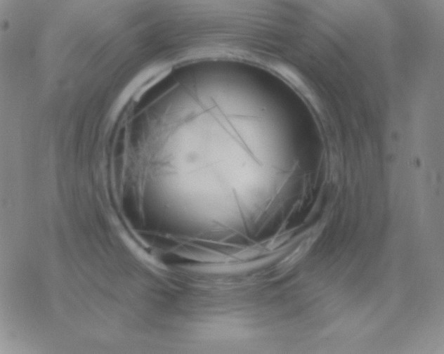 X0000076221438200610122039