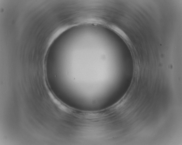 X0000076221439200610122039