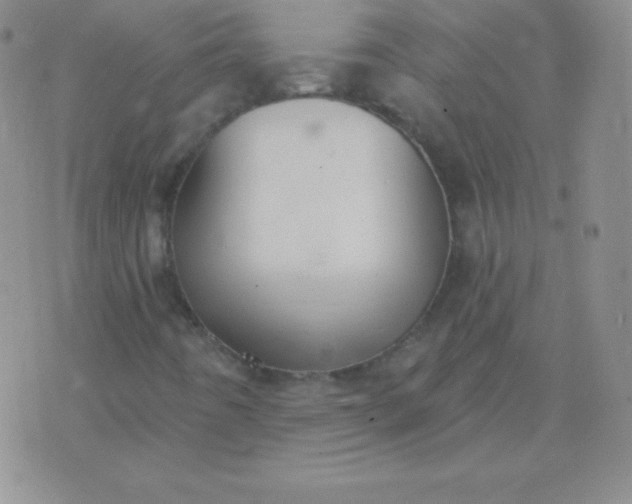 X0000076221442200610122038