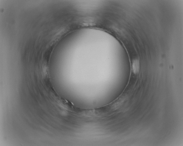 X0000076221444200610122038