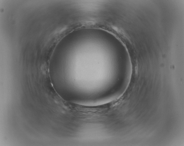 X0000076221445200610122038