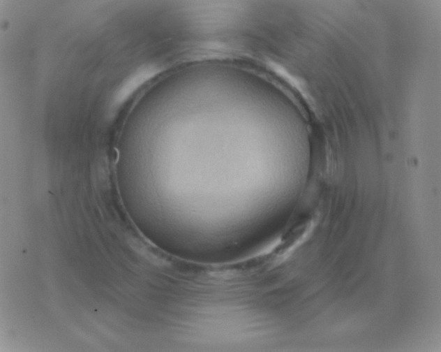 X0000076221453200610122038