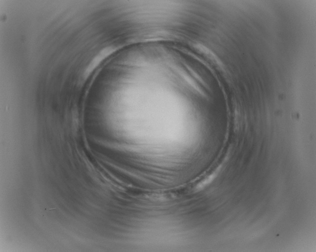 X0000076221457200610122038
