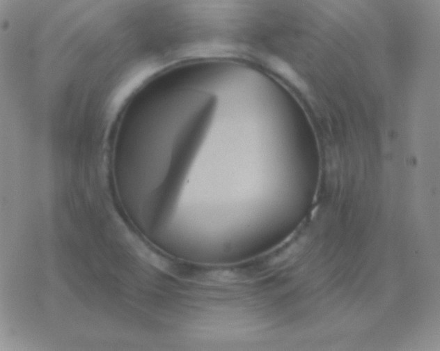 X0000076221463200610122038