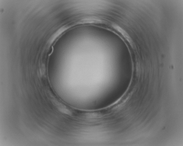 X0000076221465200610122038