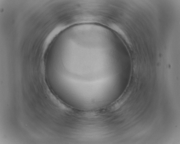 X0000076221472200610122038