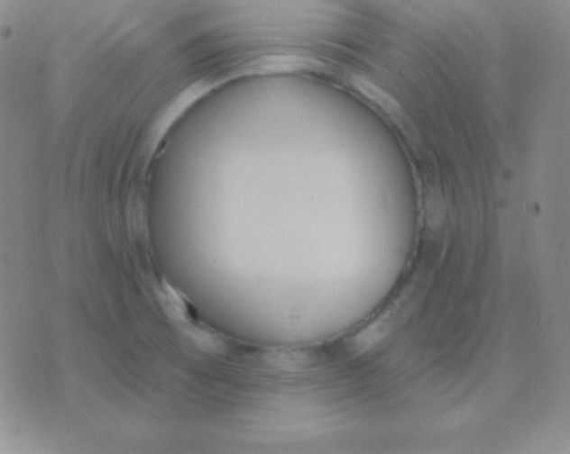 X0000076221473200610122038