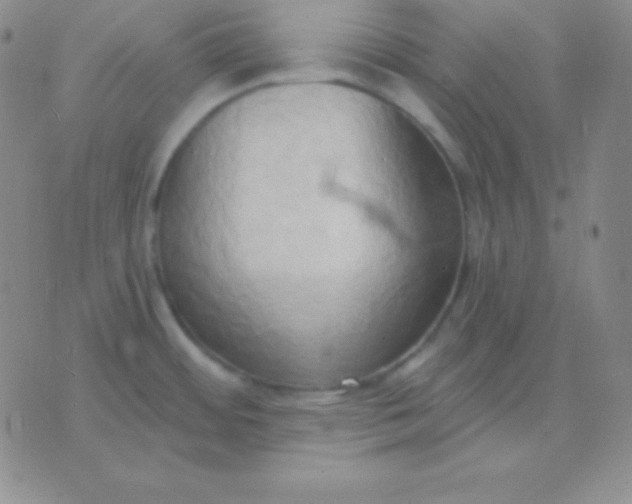 X0000076221484200610122037