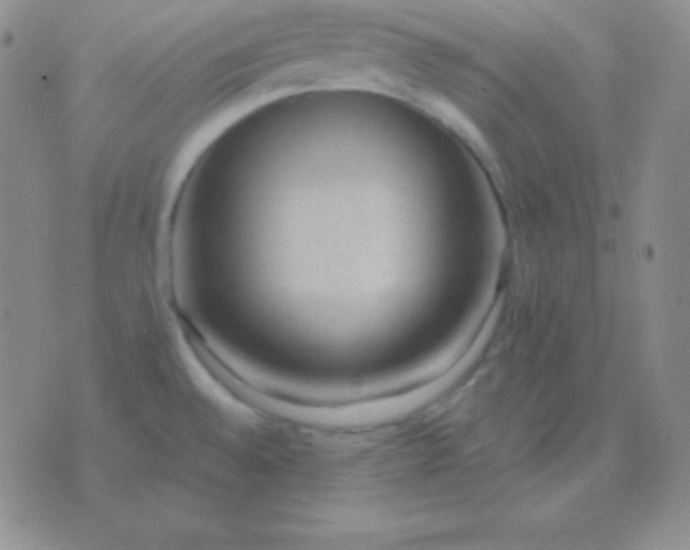 X0000076221528200610122037
