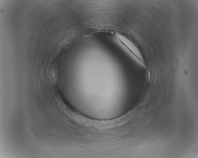 X0000076220039200610191544