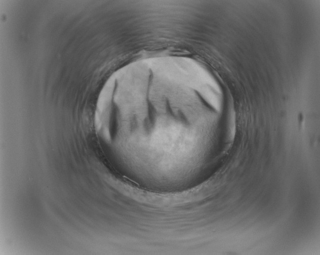 X0000076220043200610191544