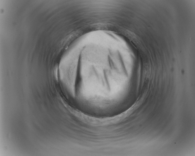 X0000076220047200610191544