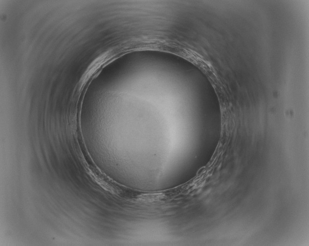 X0000076220051200610191543