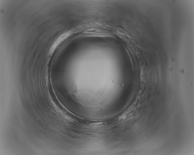 X0000076220054200610191543