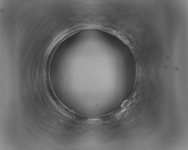X0000076220055200610191543