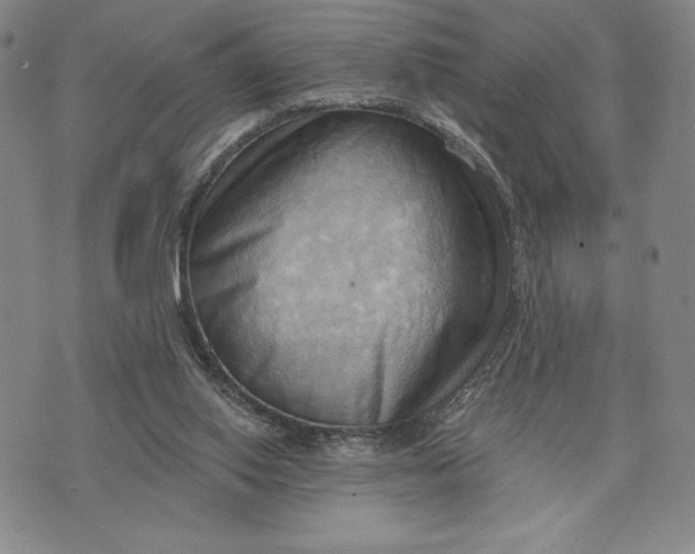 X0000076220062200610191543