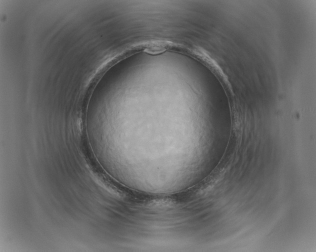 X0000076220063200610191543