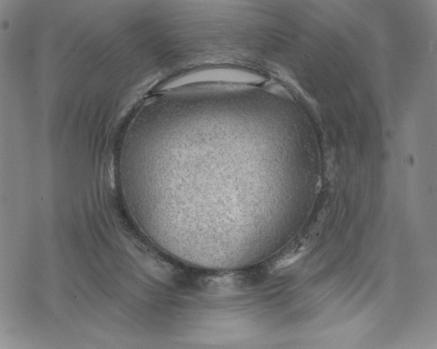 X0000076220068200610191543