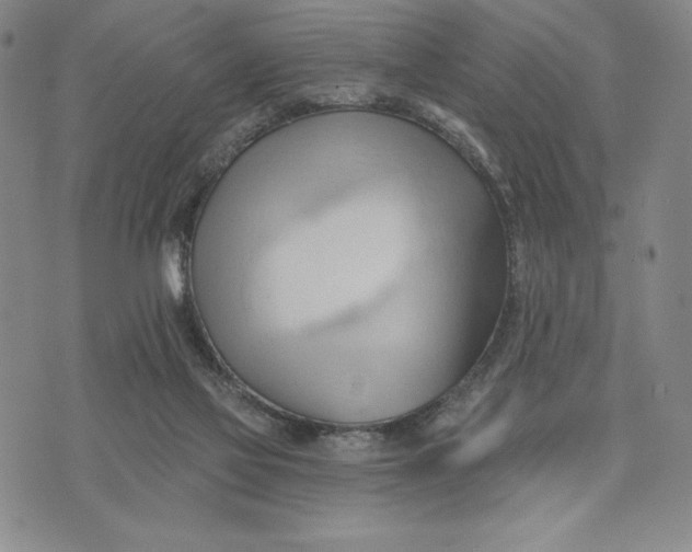 X0000076220069200610191543