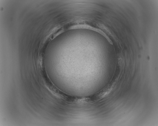 X0000076220072200610191543