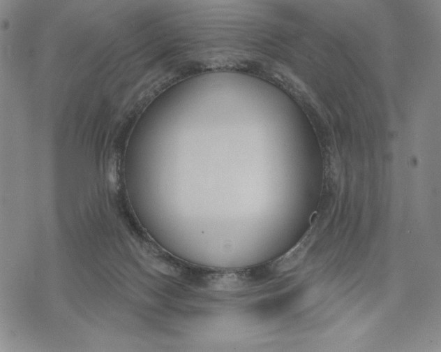 X0000076220074200610191543