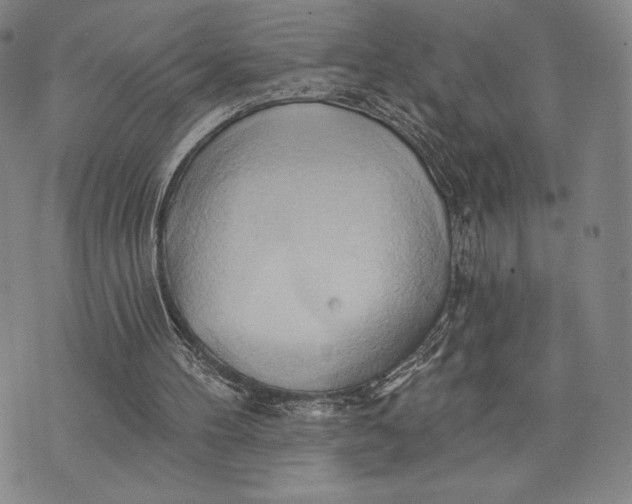 X0000076220100200610191543