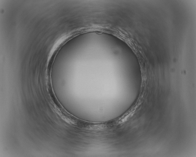X0000076220102200610191543